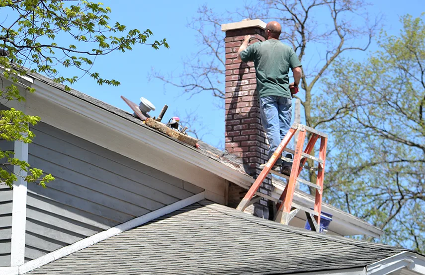 Chimney & Fireplace Inspections Services in Auburn, WA